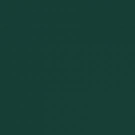 Πράσινο Χρώμα αυτοκινήτου Z6H-AUDI