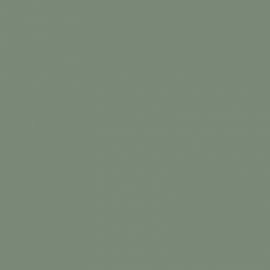 Πράσινο Χρώμα αυτοκινήτου Z6J-AUDI