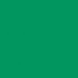 Πράσινο Χρώμα αυτοκινήτου Z6N-AUDI