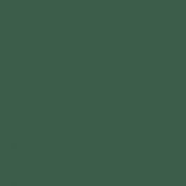 Πράσινο Χρώμα αυτοκινήτου Z6R-AUDI