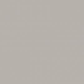 Γκρι Χρώμα αυτοκινήτου MDT-JAGUAR