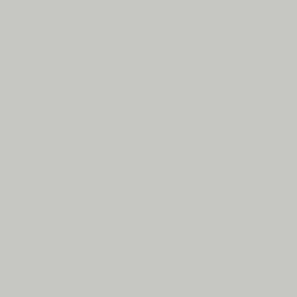 Λευκό Χρώμα αυτοκινήτου NEG-JAGUAR