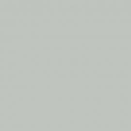 Λευκό Χρώμα αυτοκινήτου NH538-HONDA