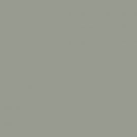 Γκρι Χρώμα αυτοκινήτου NH642M-HONDA