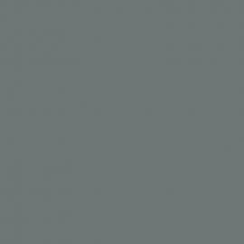 Γκρι Χρώμα αυτοκινήτου NH737M-HONDA