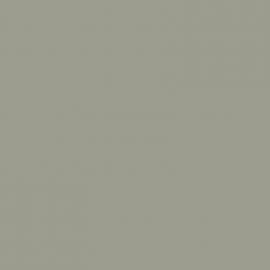 Γκρι Χρώμα αυτοκινήτου NH745M-HONDA