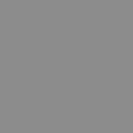 Γκρι Χρώμα αυτοκινήτου NH754M-HONDA