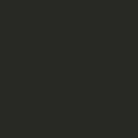 Γκρι Χρώμα αυτοκινήτου NH773M-HONDA