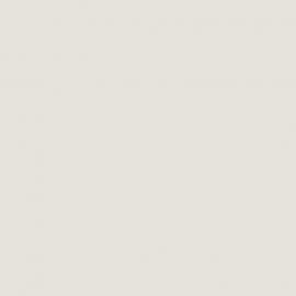 Λευκό Χρώμα αυτοκινήτου NH814P-HONDA