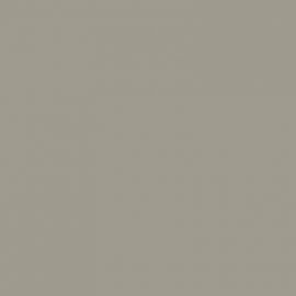 Γκρι Χρώμα αυτοκινήτου NH833M-HONDA