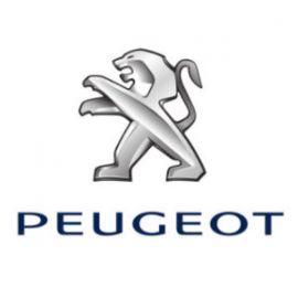 Γκρι Χρώμα αυτοκινήτου ELD-PEUGEOT