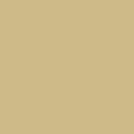 Ral 1000 Gruenbeige