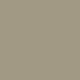 Μπεζ Χρώμα αυτοκινήτου RI-KIA