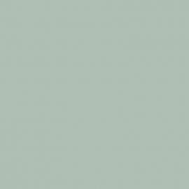 Μπλε Χρώμα αυτοκινήτου RNP-RENAULT