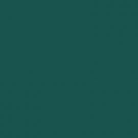 Πράσινο Χρώμα αυτοκινήτου RNX-RENAULT