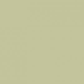 Γκρι Χρώμα αυτοκινήτου S13-MITSUBISHI