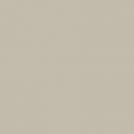 Μπεζ Χρώμα αυτοκινήτου S22-MITSUBISHI