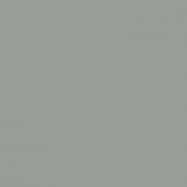 Γκρι Χρώμα αυτοκινήτου S25-DAIHATSU