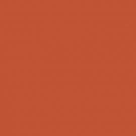 Πορτοκαλί Χρώμα αυτοκινήτου S2N-SEAT