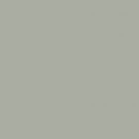 Γκρι Χρώμα αυτοκινήτου S4-KIA