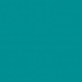 Μπλε Χρώμα αυτοκινήτου S5X-SEAT