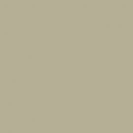 Μπεζ Χρώμα αυτοκινήτου S74-MITSUBISHI