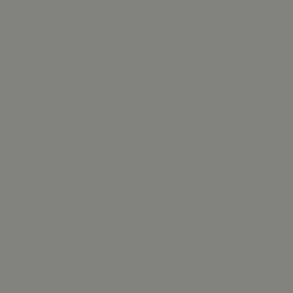 Γκρι Χρώμα αυτοκινήτου SPWC-FORD