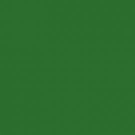 Πράσινο Χρώμα αυτοκινήτου W6Z-SEAT