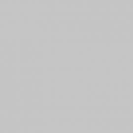 Γκρι Χρώμα αυτοκινήτου 1056-FORD