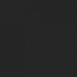 Μαύρο Χρώμα αυτοκινήτου 2409CM-FORD