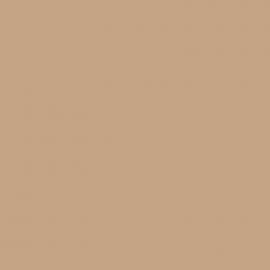 Μπεζ Χρώμα αυτοκινήτου Y1N-AUDI