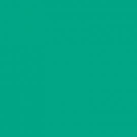 Πράσινο Χρώμα αυτοκινήτου Y6L-AUDI