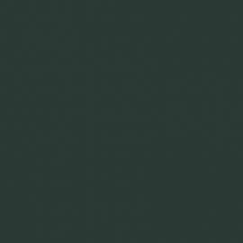 Πράσινο Χρώμα αυτοκινήτου Y6P-AUDI