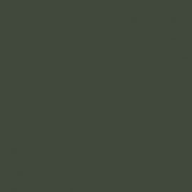 Πράσινο Χρώμα αυτοκινήτου Y6R-AUDI