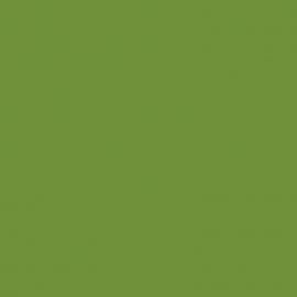 Πράσινο Χρώμα αυτοκινήτου Y6W-AUDI