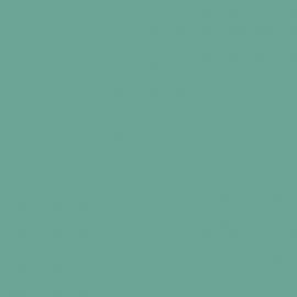 Πράσινο Χρώμα αυτοκινήτου Y6X-AUDI