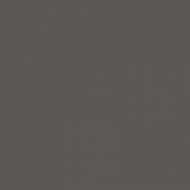 Γκρι Χρώμα αυτοκινήτου YAWCWHA-FORD