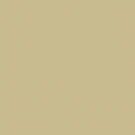 Μπεζ Χρώμα αυτοκινήτου YR566M-HONDA