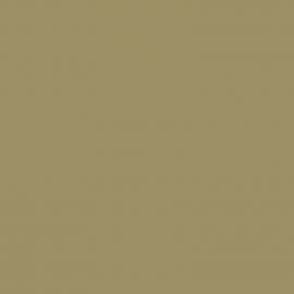 Μπεζ Χρώμα αυτοκινήτου YR574M-HONDA